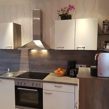 Апартаменты Ferienwohnung Grune Galerie *